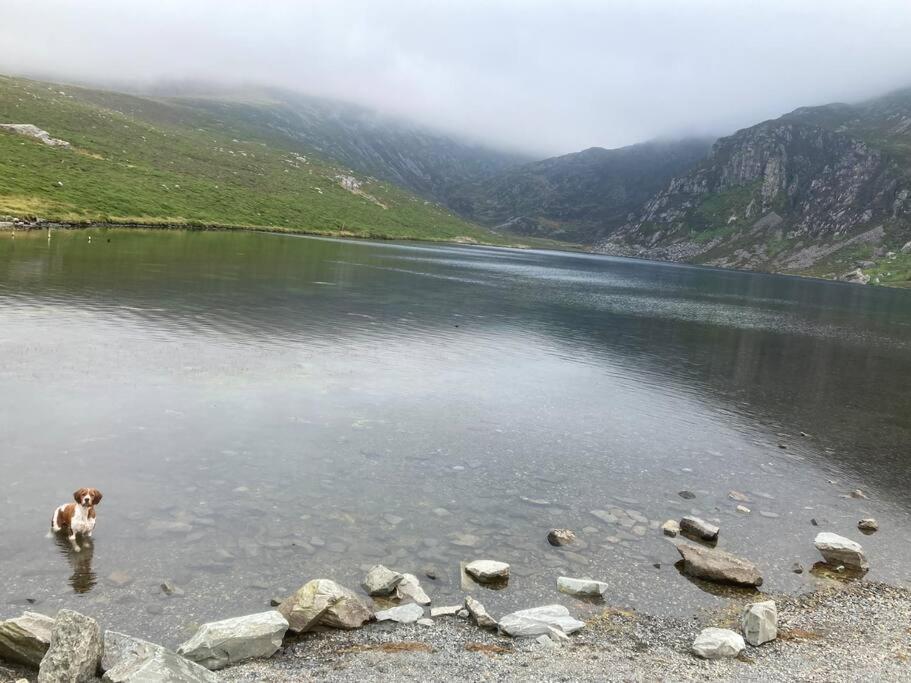 Willa Hedd Wen Llanllyfni Zewnętrze zdjęcie